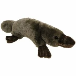 Other Platypus 25cm