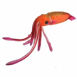 Other Squid Hanging Orange